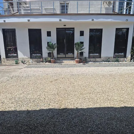 Paun Costineşti