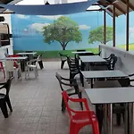 Pensión Paun Costinesti