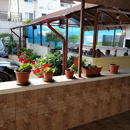 Paun コスティネシュティ