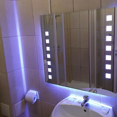 ゲストハウス Paun コスティネシュティ