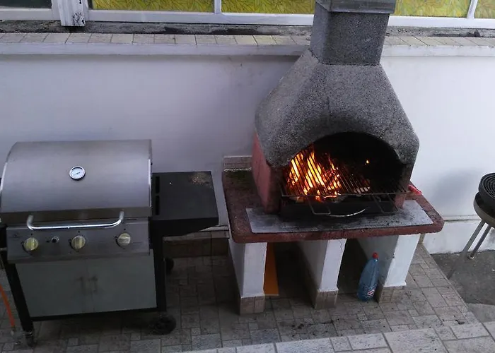 Paun كوستِنيست