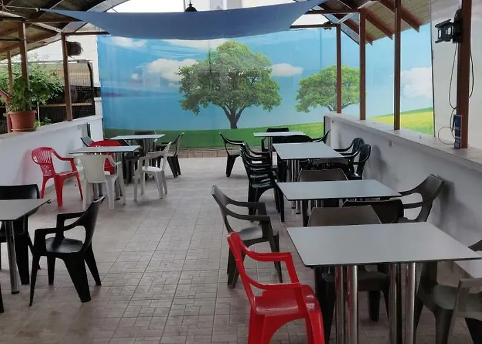 Gæstehus Paun Costinesti