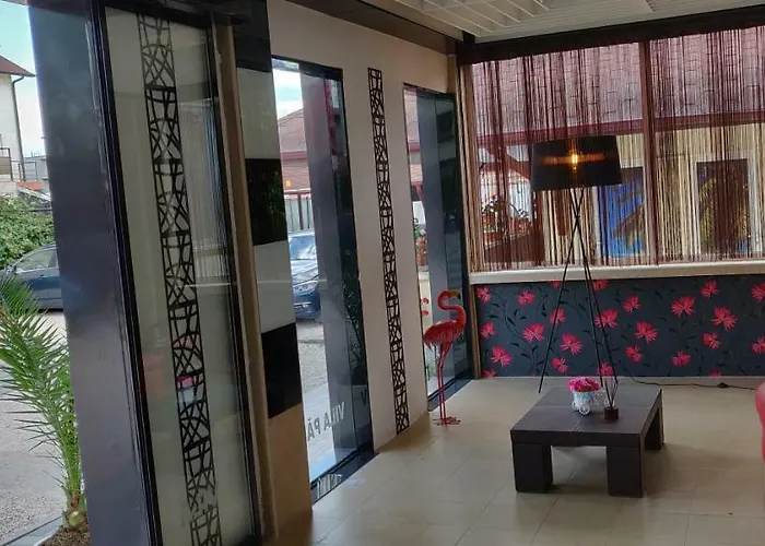 Paun كوستِنيست